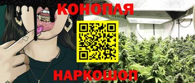 каннабис Новодвинск