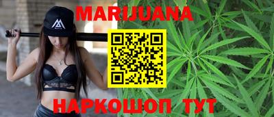 индика Новозыбков