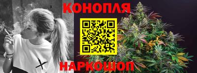 индика Новозыбков
