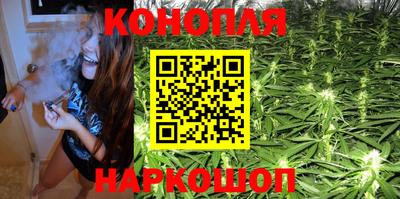 индика Новозыбков