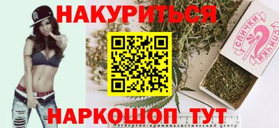 индика Новозыбков