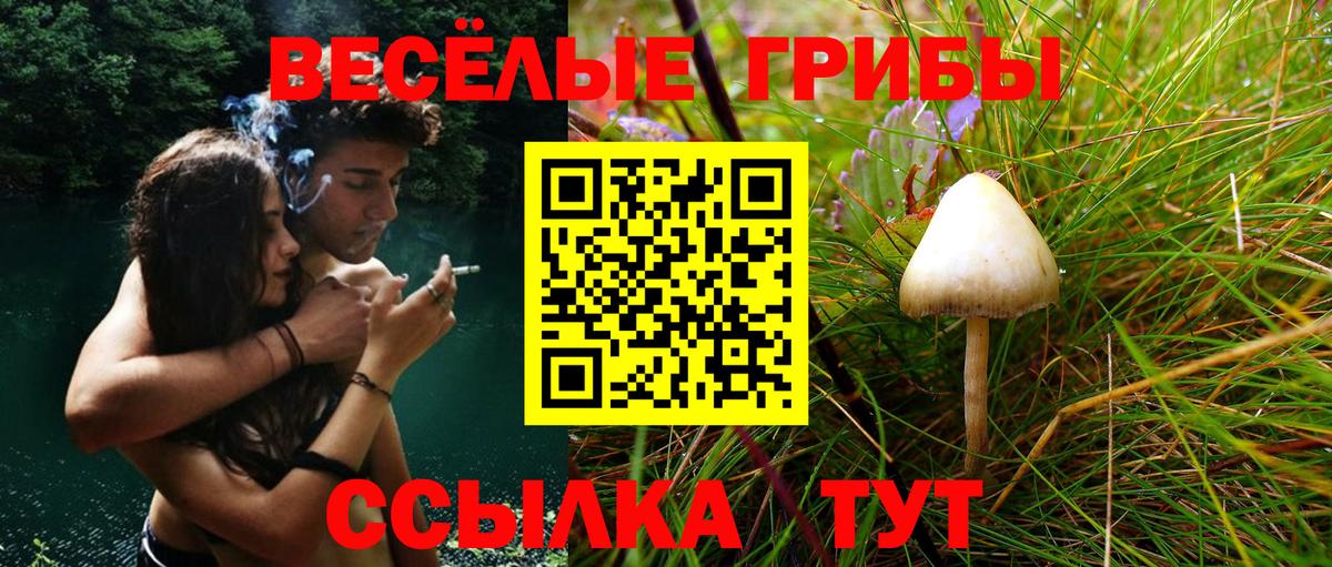 Псилоцибиновые грибы ЛСД  Вход с VPN  Серпухов 